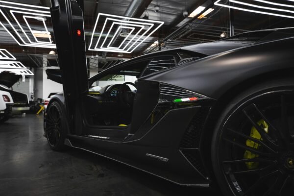 pexels-lynxexotics-8664310.jpg